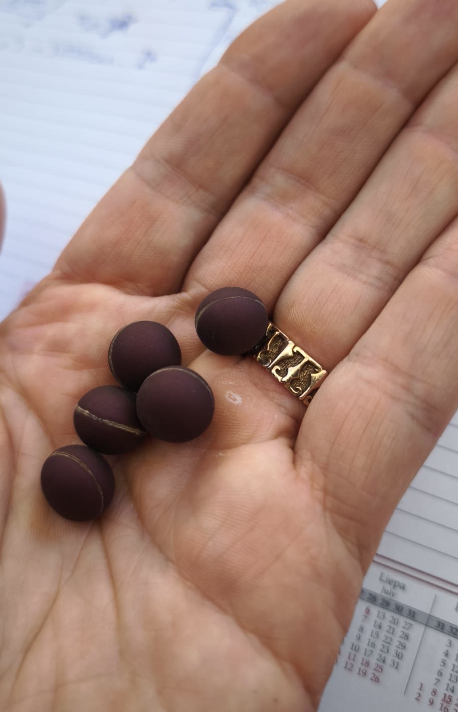 SOOID chocolate capsules resting in a hand